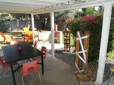 Patio 3 (1)