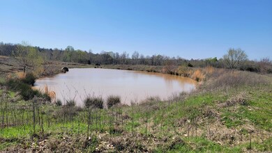 unlisted-address, Paragould, AR 72450 - photo 4