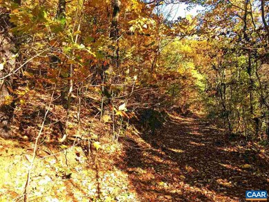 0 Old Mountain Rd unit 18 569293, Stanardsville, VA 22973 - photo 7