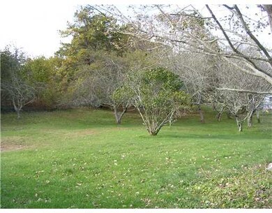 Yard/Garden.