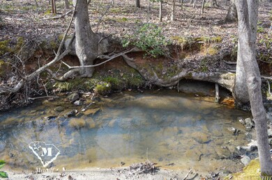 0 Cowpens Pacolet Rd unit 23075109, Spartanburg, SC 29307 - photo 2