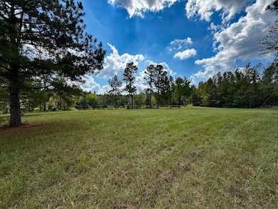 0 Gay Rd, Keysville, GA 30816 - photo 2