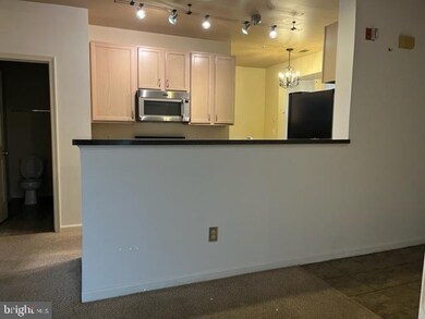 5002 Willow Branch Way unit 305, Owings Mills, MD 21117 - photo 5