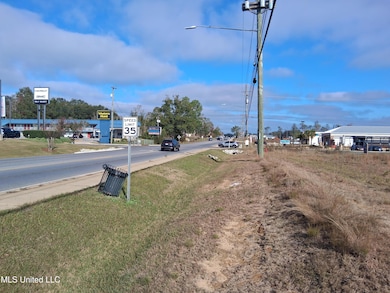 0 Old Highway 63 unit 4133272, Lucedale, MS 39452 - photo 4