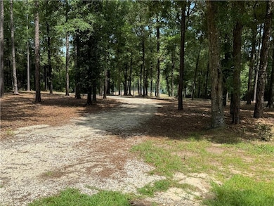 1150 Celeste Spring Dr, Mobile, AL 36571 - photo 2