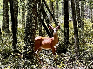 285 Tink Wig Dr, Lackawaxen Township, PA 18428 - photo 2