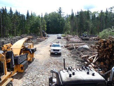 0 Willoughby Lake Rd, Barton, VT 05822 - photo 5