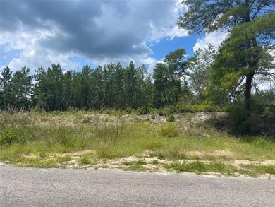 0 SW 21st Terrace Rd, Ocala, FL 34473 - photo 3