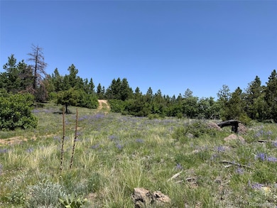 000 Peak View Ridge unit 6, Canon City, CO 81212 - photo 3