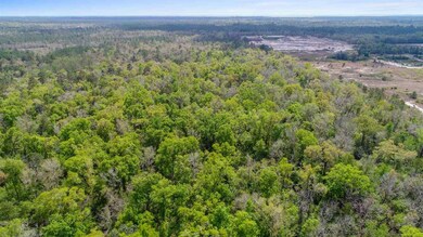 0 McMyers Ln, Crawfordville, FL 32327 - photo 7