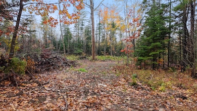 dji_fly_20251021_112752_0070_17610605183