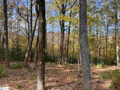 1526 Panther Park Trail, Travelers Rest, SC 29690 - photo 2