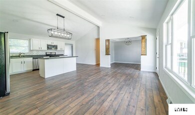 1228 Rutledge Dr, Lincoln, IL 62656 - photo 4