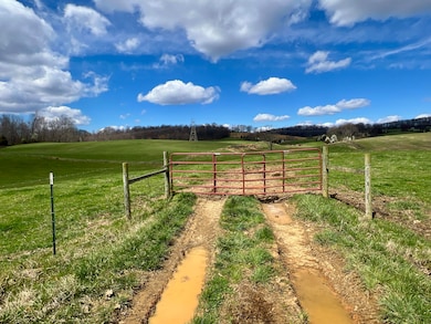 88/Ac Tbd Hwy 93, Fall Branch, TN 37656 - photo 3