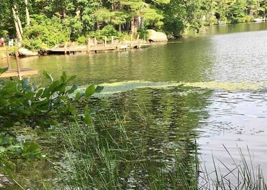 Lot 8 Basin, Tuftonboro, NH 03853 - photo 4