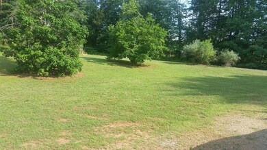 4482 Triangle School Rd, Callands, VA 24530 - photo 3