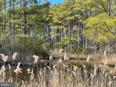 2434 Wesley Church Rd, Crapo, MD 21626 - photo 5