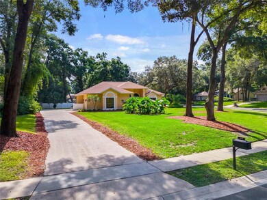 Extra long driveway!