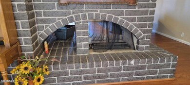 Thunderbird front photo 6