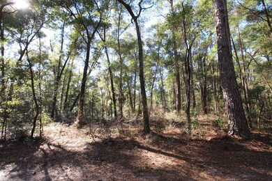 65 Simmie Dr, Crawfordville, FL 32327 - photo 2