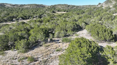 Cr 27, Rocksprings, TX 78880 - photo 4