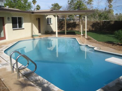 Diving Pool & Patio View