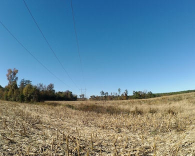 Tbd Concord Church Rd, Ellerbe, NC 28338 - photo 2