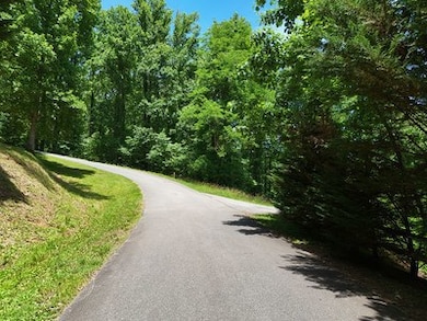 Lot 10 Hidden Summit Rd, Hiawassee, GA 30546 - photo 4