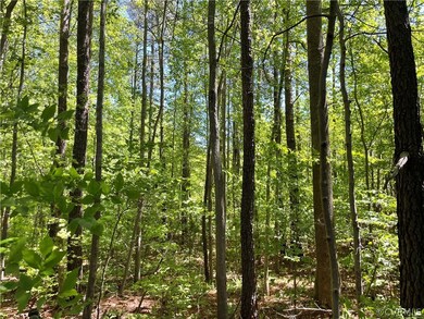 00 K-V Rd, Lunenburg, VA 23944 - photo 3