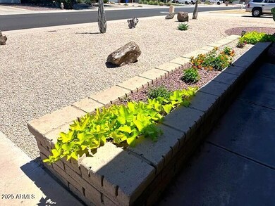 front plantor