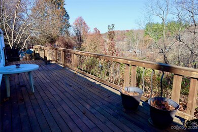 1011 Clark Branch Rd, Asheville, NC 28806 - photo 4