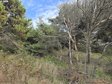 0 Lookout St unit 2, Florence, OR 97439 - photo 2