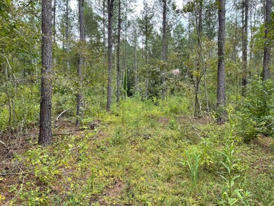 00 Pisgah Rd unit 2, Brandon, MS 39047 - photo 7