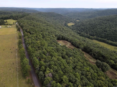 5463 Lo Gap Rd, Clinton, AR 72031 - photo 4