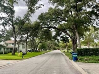 Street coming up to the house