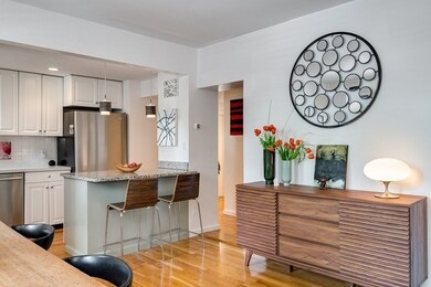 41 Winslow Rd unit 7, Brookline, MA 02446 - photo 6