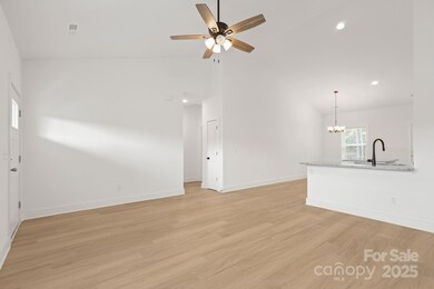 6155 Long Branch Rd, Salisbury, NC 28147 - photo 5