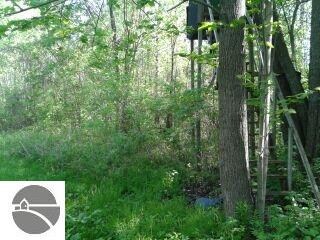 N/A Tonkey Rd, Turner, MI 48765 - photo 6