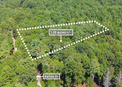 211 Bartox Dr, Ellijay, GA 30540 - photo 4