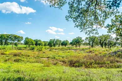 TBD Hott Ln, Weatherford, TX 76088 - photo 3