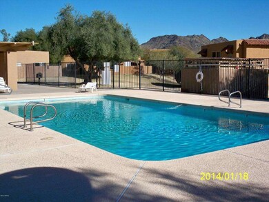 Lush Pool