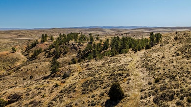 dji_20250410110205_0914_d_684