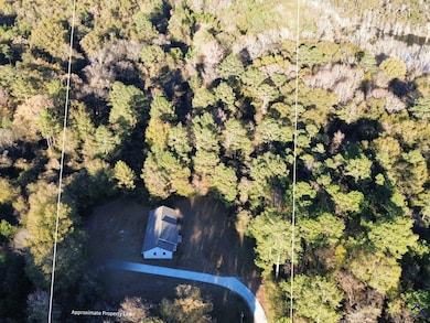 2970 Frederick Dr, Dry Branch, GA 31020 - photo 4