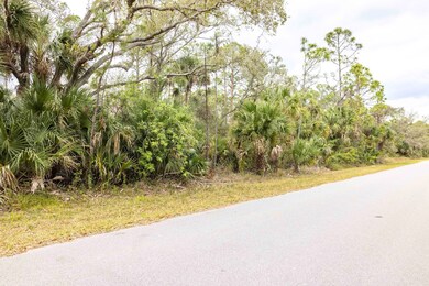 1081 Sherwin St, Port Charlotte, FL 33953 - photo 4