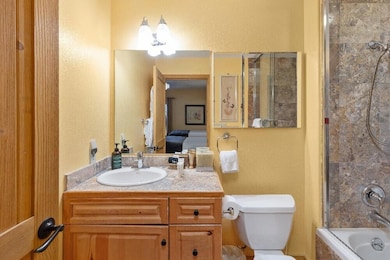 135 San Joaquin Rd unit 213, Telluride, CO 81435 - photo 7