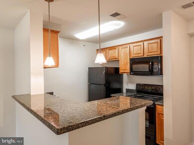 The Four Winds at Oakton unit 4-E11, Oakton, VA 22124 - photo 4