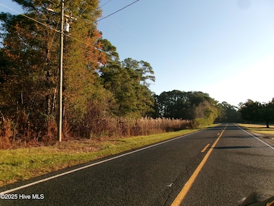 840 Wilmar Rd, Vanceboro, NC 28586 - photo 4