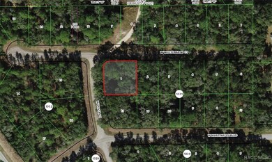 346 W Whitmarsh Ct, Dunnellon, FL 34434 - photo 5