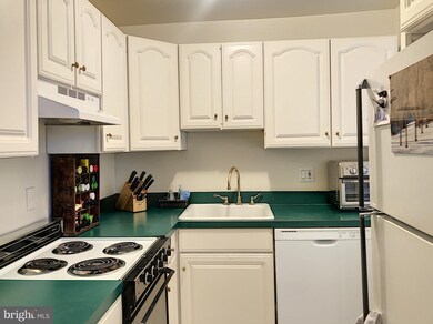 610 Madison St unit 203, Alexandria, VA 22314 - photo 7