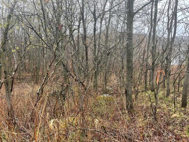 TBD Marble Dr, Cushing, MN 56443 - photo 3